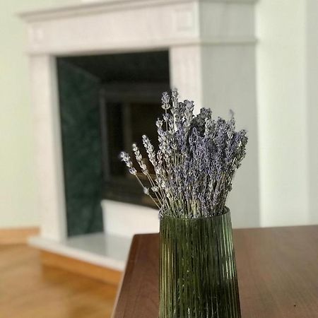 Family Apartment Near The University Черновцы Экстерьер фото